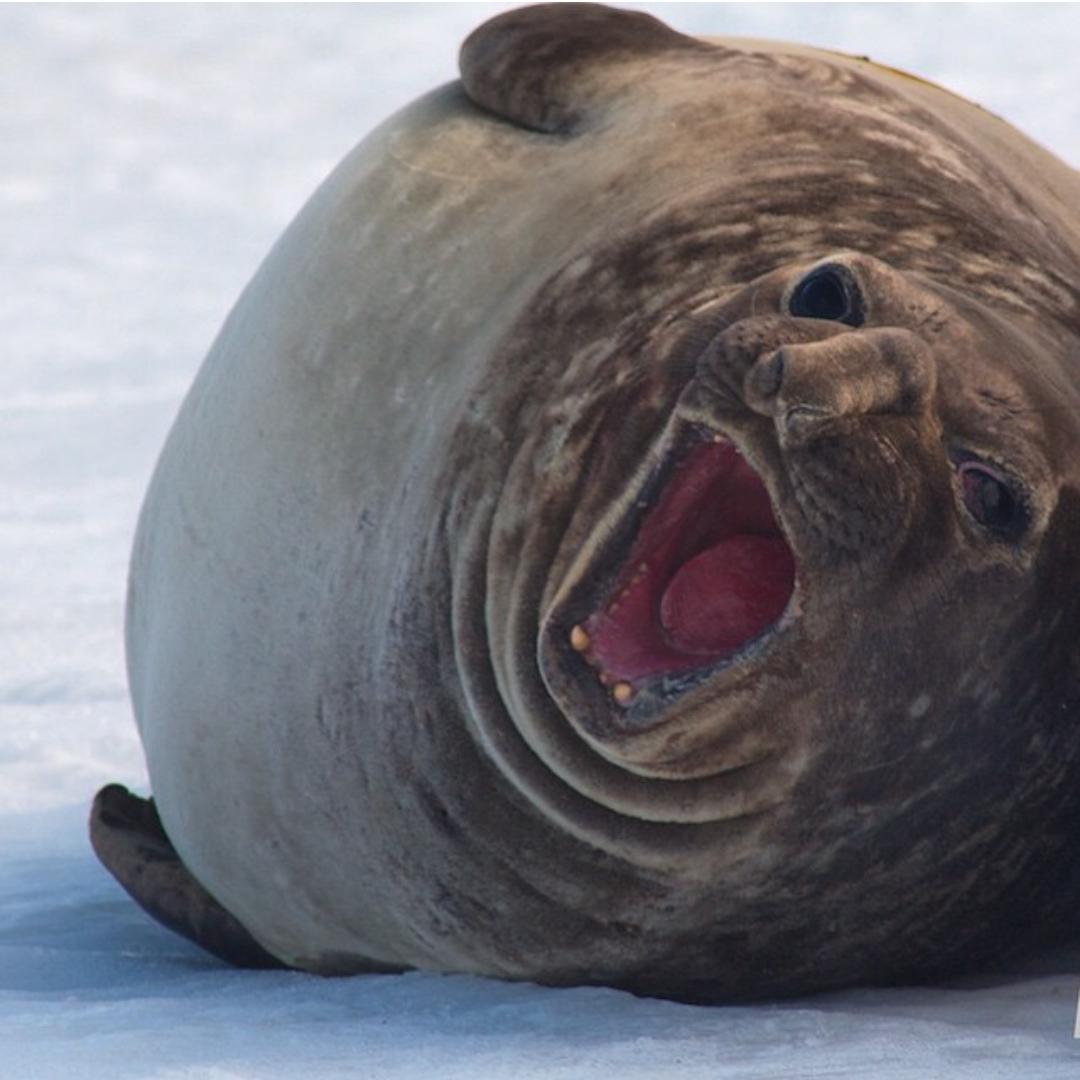 rachrocket's tweet photo. 2.5 hours of gym later got me like http://t.co/MqnLdr2SSc