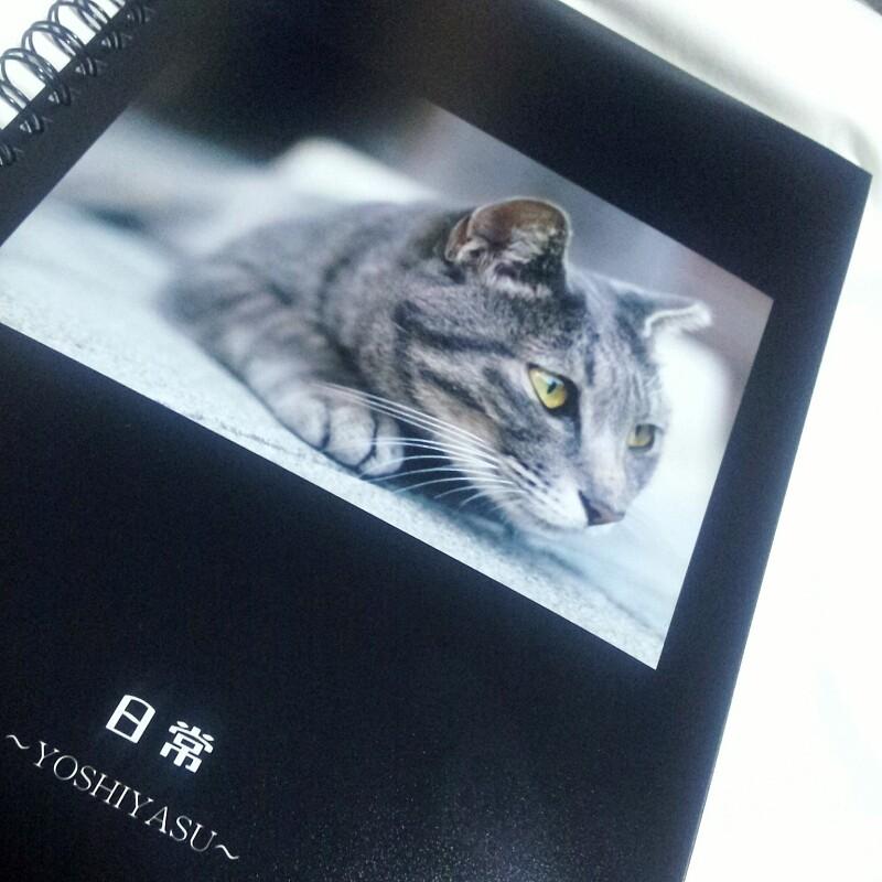 よしやす☞写真 tweet media