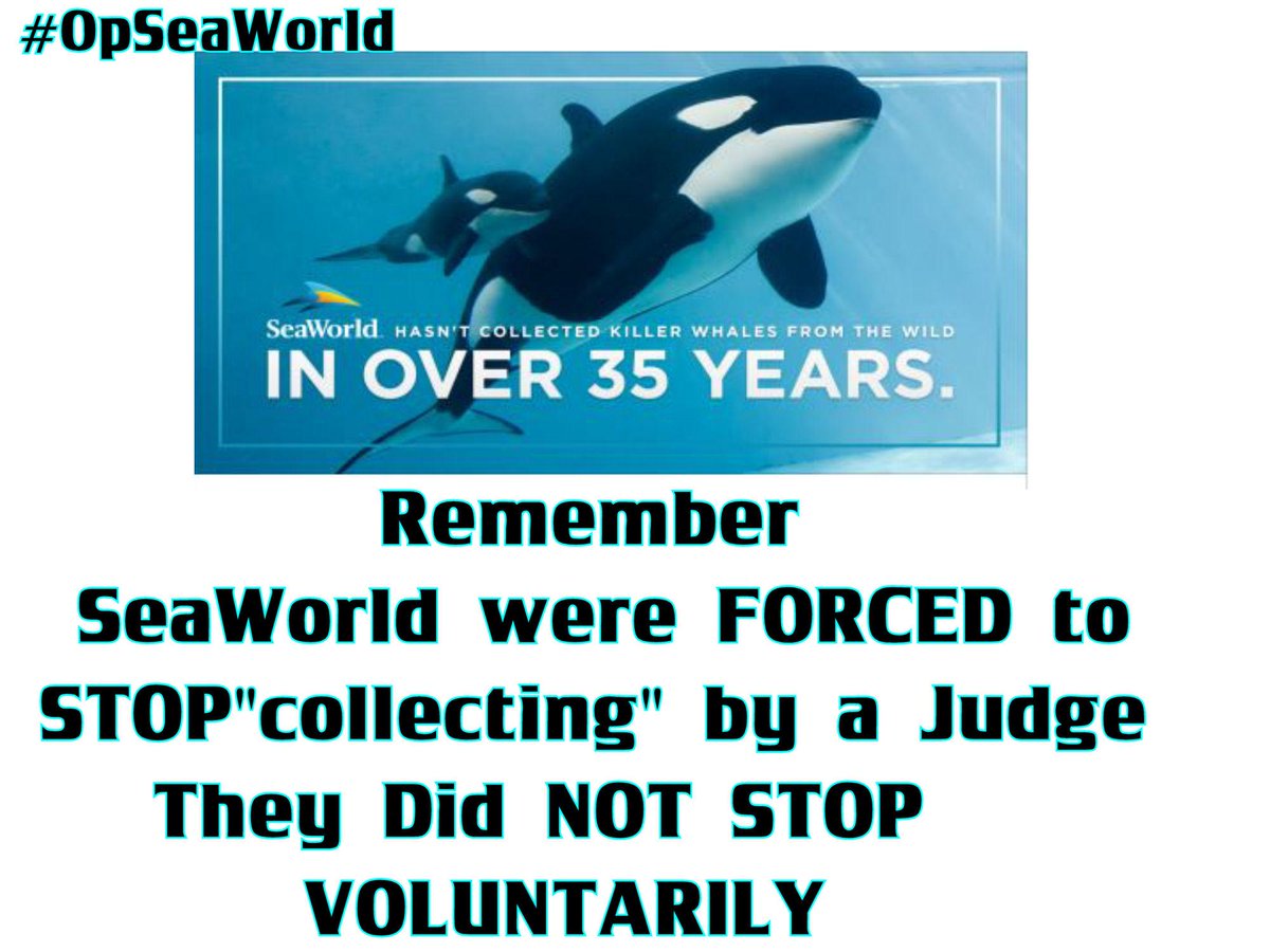 ValatPannaWW's tweet photo. "@h0t_p0ppy: As #Seaworld push out more propaganda to clear their name, remember they endangered the orca population http://t.co/3oMZanvZLS"