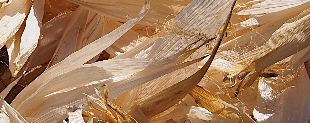 changeinctoday's tweet image. DuPont werkt aan nieuwe generaties #biobased #plastic. @DuPont_News buff.ly/1CkIPJ1