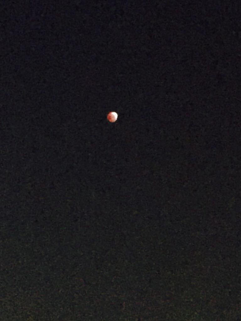 MsKrystalHines's tweet photo. 4:44 on 4/4/15 #BloodMoonEclipse #westcoast #nosleep #fullmoon http://t.co/tSJUMsHmsR
