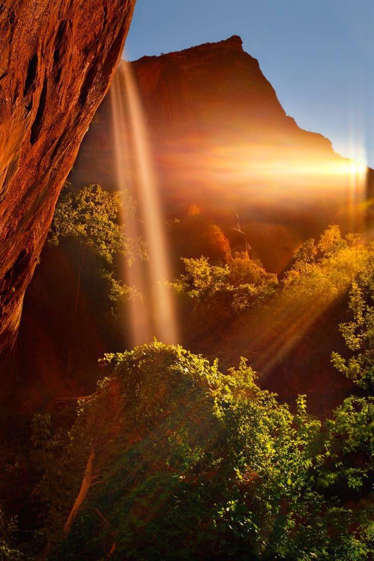 tomalpat's tweet photo. #Forgiveness is the energy that empowers us with the freedom to move on. 
@jdgranados pic http://t.co/B6O21DhpP4