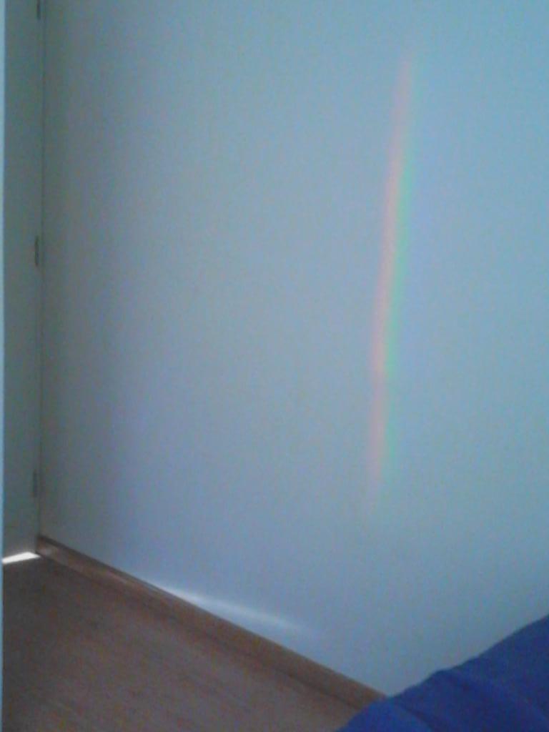 ADRIANACANEPAV's tweet photo. QUE LINDO LO PRIMERO QUE VI CUANDO DESPERTÉ HOY... :) http://t.co/WBIhZnFxrG