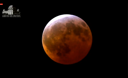 ChannelNewsAsia's tweet photo. HAPPENING NOW: Blood moon has risen and can be seen over Singapore. Do you see it from where you are? http://t.co/3MqCZTTNuD