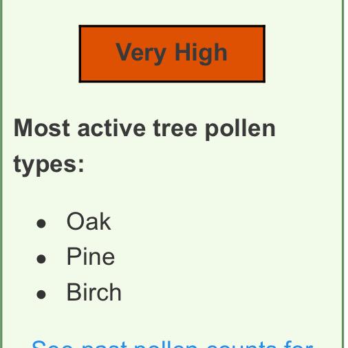krobus_'s tweet photo. Wait... dat kush pollen can get u very high?? What's oak kush and pine kush I finna try dis shit??! #ilovetree 🍁🍁🍁😙💨💨 http://t.co/8VYirEERVv