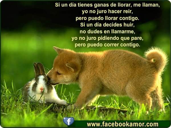 solochicasguap1's tweet photo. http://t.co/aUXFdgIXTi