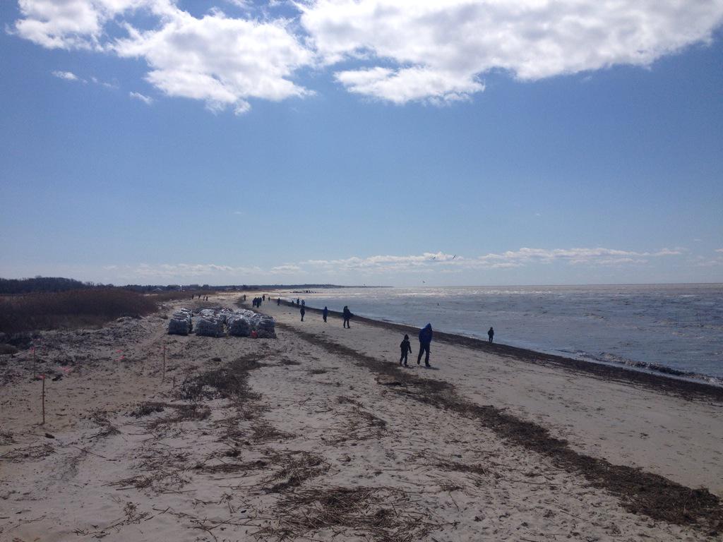 wildlifenj's tweet image. Volunteers/families are starting to arrive at the #Shellabration! @littoralsociety @USFWSNortheast #RestoreNJBayshore