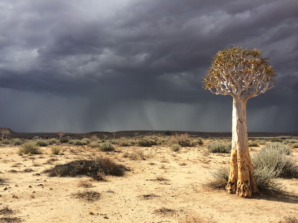Wanna know what the weather is like in Namibia ? Visit the Namibia Weather Network. namibiaweather.info