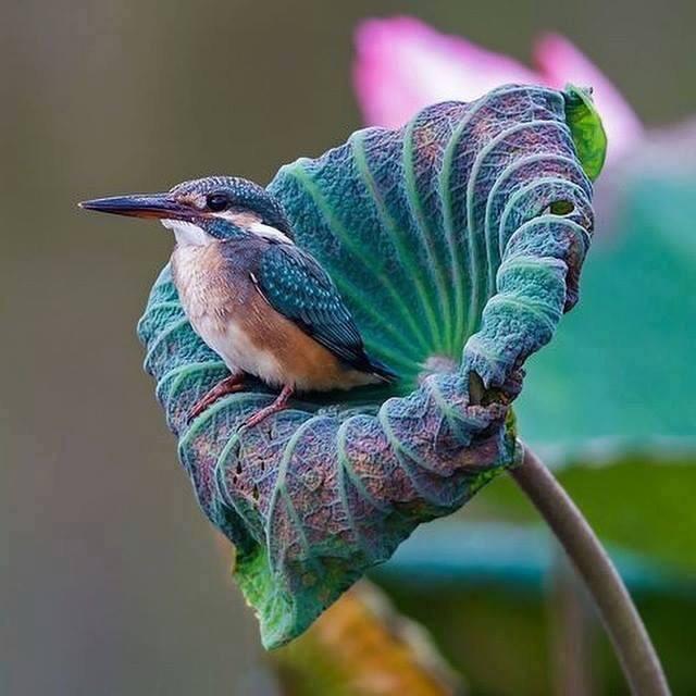 mudartmb tweet picture