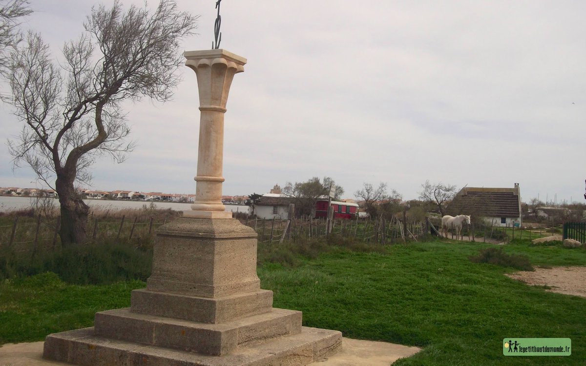 LPBM_fr's tweet photo. De retour chez nous ! En mode #Slowtravel à domicile. #Camargue http://t.co/c6QAUizvKX