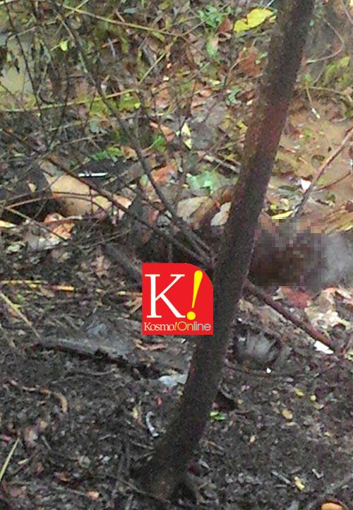 BEST FB KL: Dakwaan Helikopter Yang Dinaiki Tan Sri 