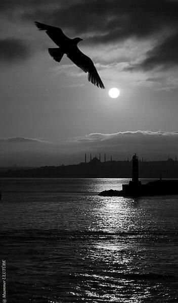 Muhammet Ali Çınar (@macnr_x) on Twitter photo 