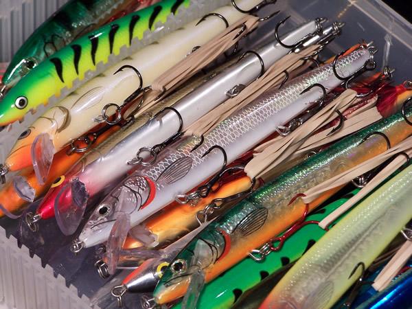 AnglinAuthority's tweet photo. Quick tip for organizing and storing your jerkbaits->http://t.co/yCTdVKgxQv #bassfishing #fishing #jerkbaits http://t.co/Aj7GwTFPNb