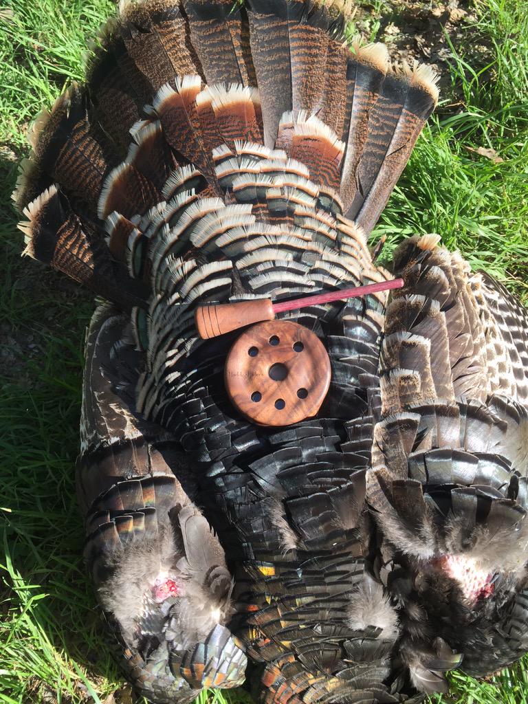 md_penn's tweet photo. @StackSr11 @AlJohns14605331 @kenmenden @gutj44 BAM!!! Like I said... GET YOUR TURKEY CALL from @haddenhailers http://t.co/dCmrC1kaSl