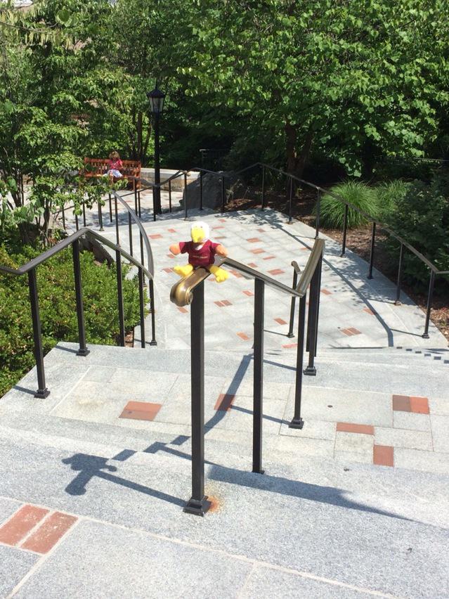 BC_Admission's tweet image. It's a beautiful day to slide down the Million Dollar Stairs. #wheresbaldwin #emptycampus