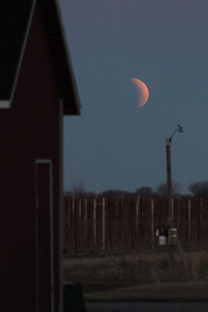 Eclipse over <a href="/EPICWineries/">EPIC Wineries</a> region ~ courtesy of <a href="/DancingSwallows/">Scott Wilkins</a> ~ stunning <a href="/WineCountryOnt/">Wine Country Ontario</a> <a href="/OntSouthwest/">Ontario's Southwest</a>
