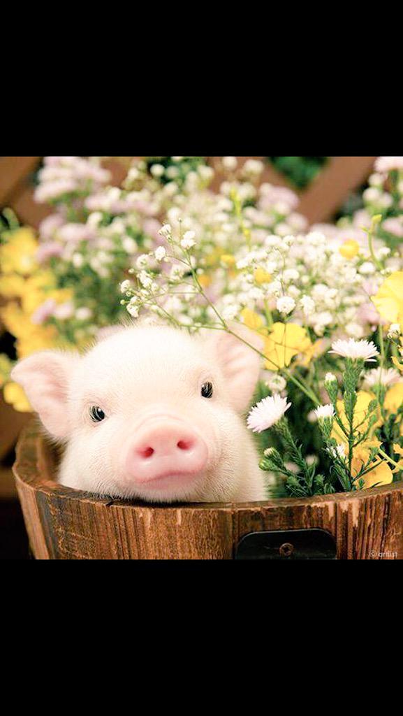 Spacetime444's tweet image. I need it😍