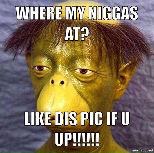 MemeSquatch's tweet image. 