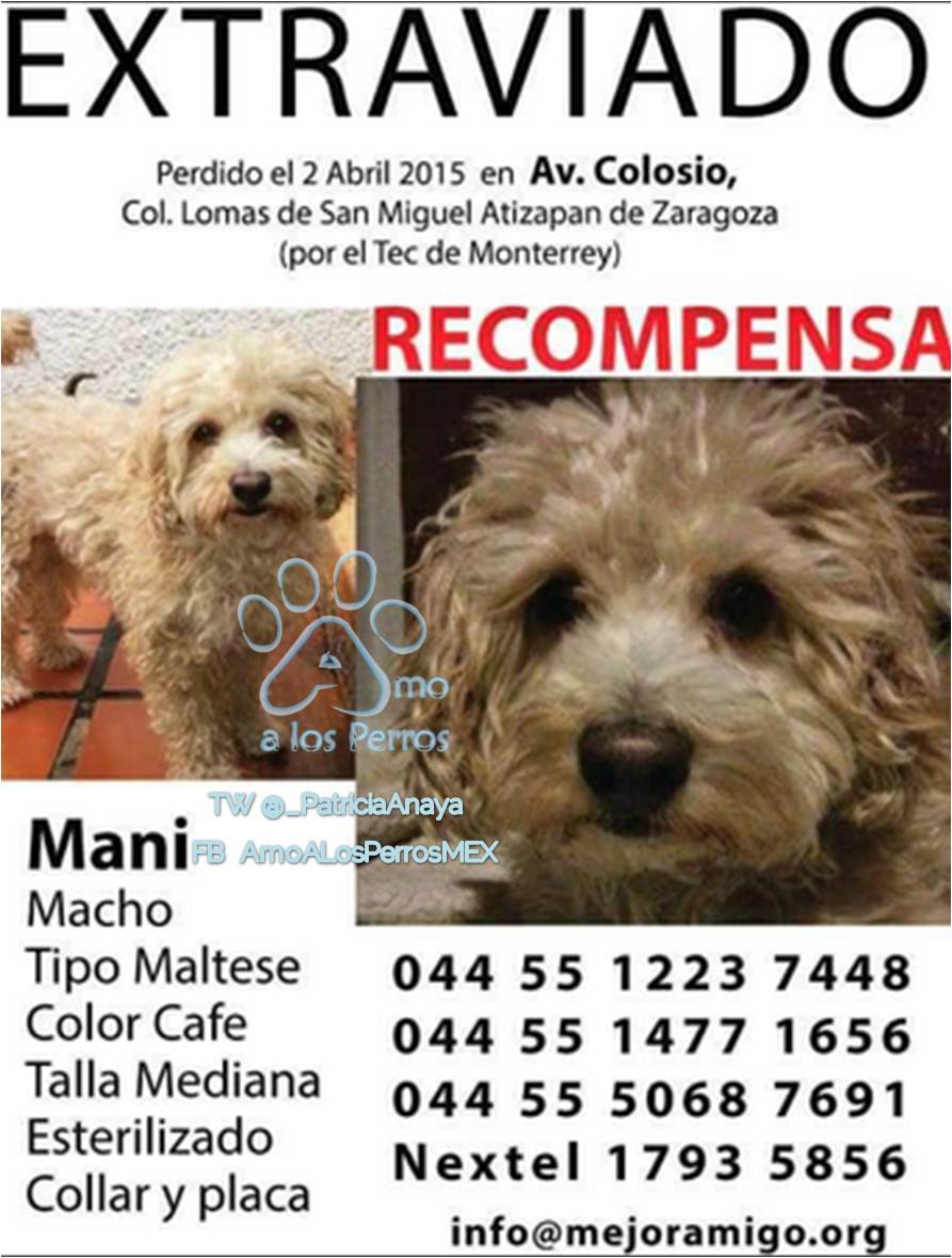 Roxana (@roxanastavoli) on Twitter photo @Mitakid <a href="/illyann_/">Illy Ann</a> @tapioca_mmm <a href="/EsEstra/">A L I 🐾</a> <a href="/Jes_Mejia/">Jes Mejía</a> <a href="/suzyheco/">suzy</a> @Minerva_Wild <a href="/fellpudito/">Israel González</a> <a href="/elsa_luz/">elsa mendez</a> <a href="/malu_princesita/">Malú Caballero Martínez</a>🙏RT @Mitakid <a href="/illyann_/">Illy Ann</a> @tapioca_mmm <a href="/EsEstra/">A L I 🐾</a> <a href="/Jes_Mejia/">Jes Mejía</a> <a href="/suzyheco/">suzy</a> @Minerva_Wild <a href="/fellpudito/">Israel González</a> <a href="/elsa_luz/">elsa mendez</a> <a href="/malu_princesita/">Malú Caballero Martínez</a>🙏RT