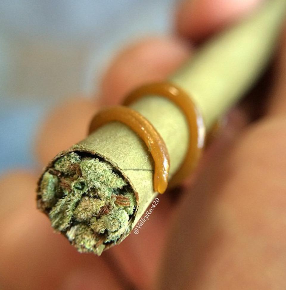 ThaWeedPage's tweet photo. Fav if you want this next.. http://t.co/kFFDJEGdsE