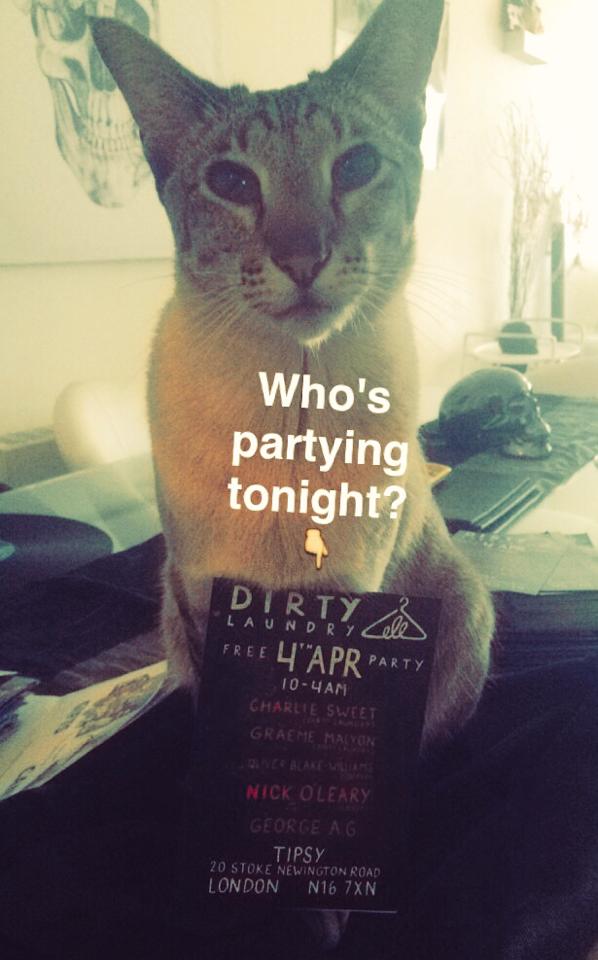 Dirty Laundry London tweet media