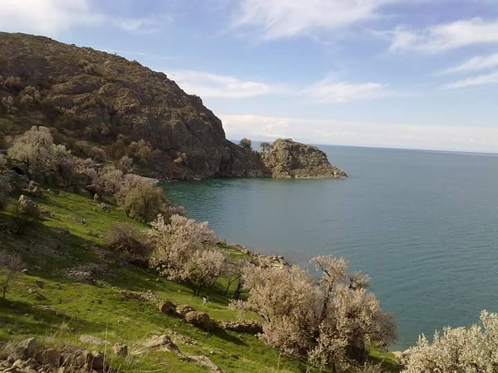 Yılmaz Verimce (@verimce_y) on Twitter photo 