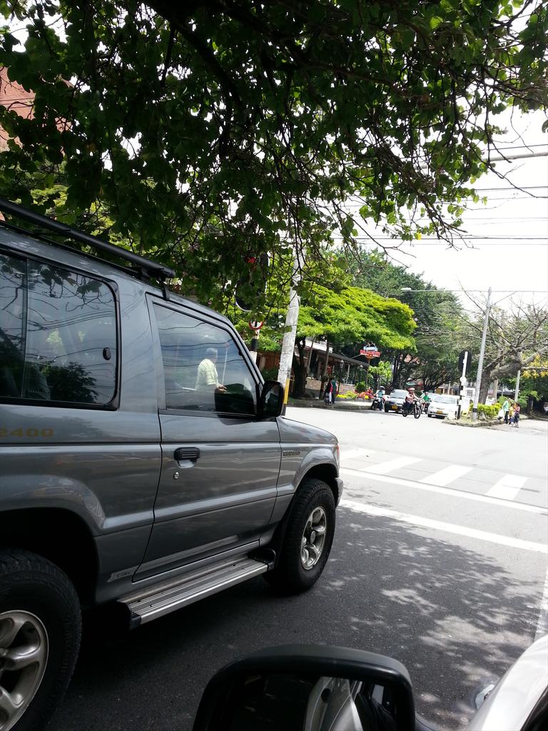 Por favor este semaforo ubicado en la carrera 73 con la circular 4 no se puede ver por las ramas del arbol.
