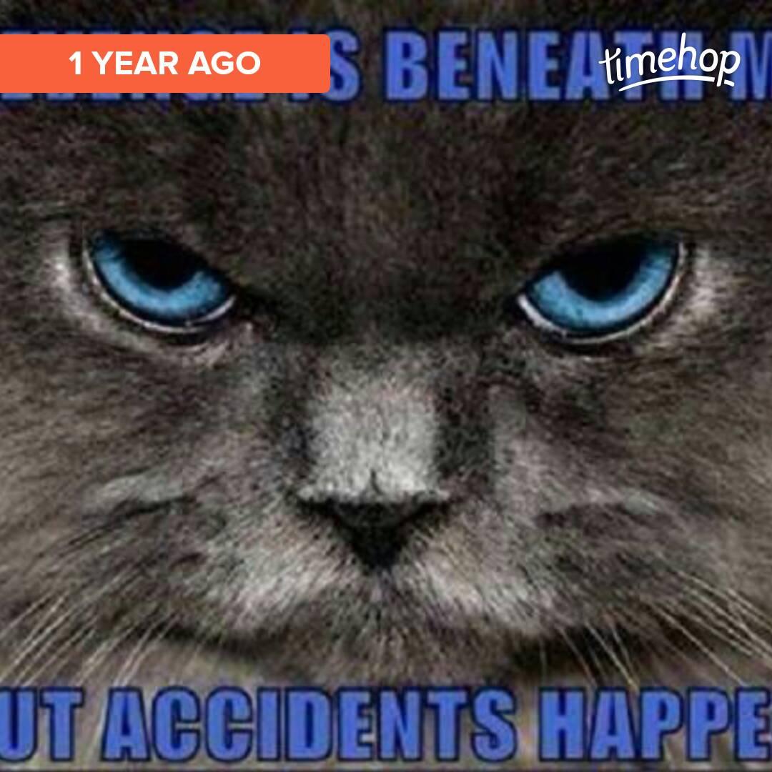 MpshellPowell's tweet image. Exactly 1 year ago today! via @timehop  timehop.com/c/ftp:14325481…