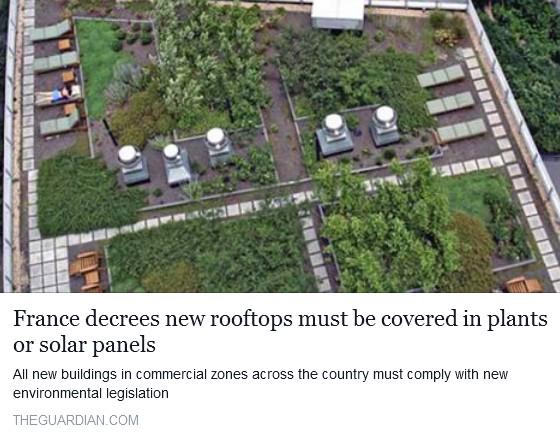 France declares green rooftops for all new buildings: fb.me/4te1HkWuQ <a href="/guardian/">The Guardian</a>