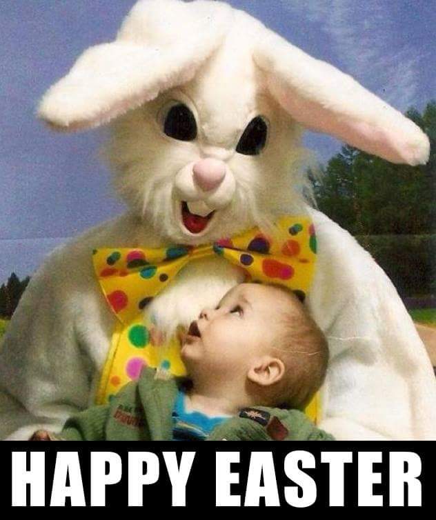 JenniferRuthDoy's tweet image. This looks more #phyco Bunny than #EasterBunny 😣