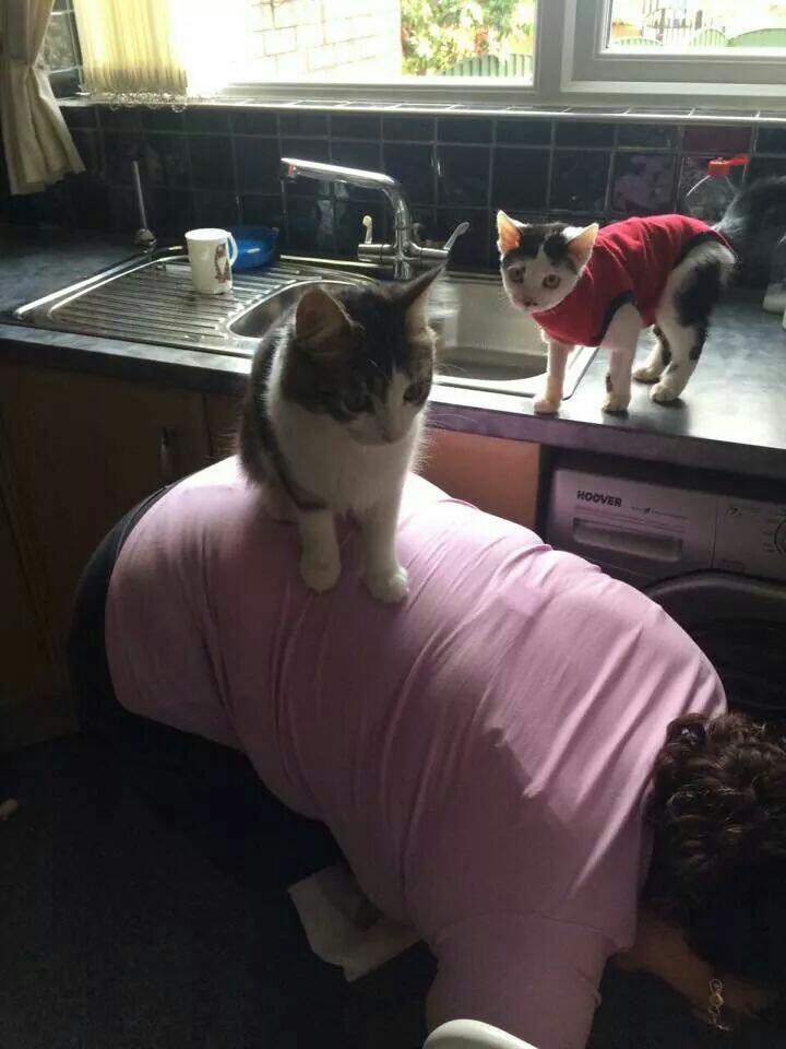TeamThomasUK's tweet photo. helping mummy clean http://t.co/qYuM5Y435z