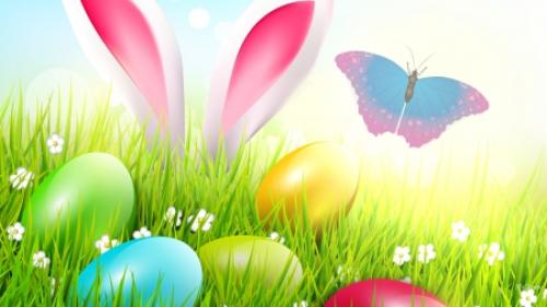 PayLessGB's tweet image. The snow is melted! The sun is shining! The Easter bunny is coming! Are you ready?

paylessgiftbaskets.ca/easter-baskets/