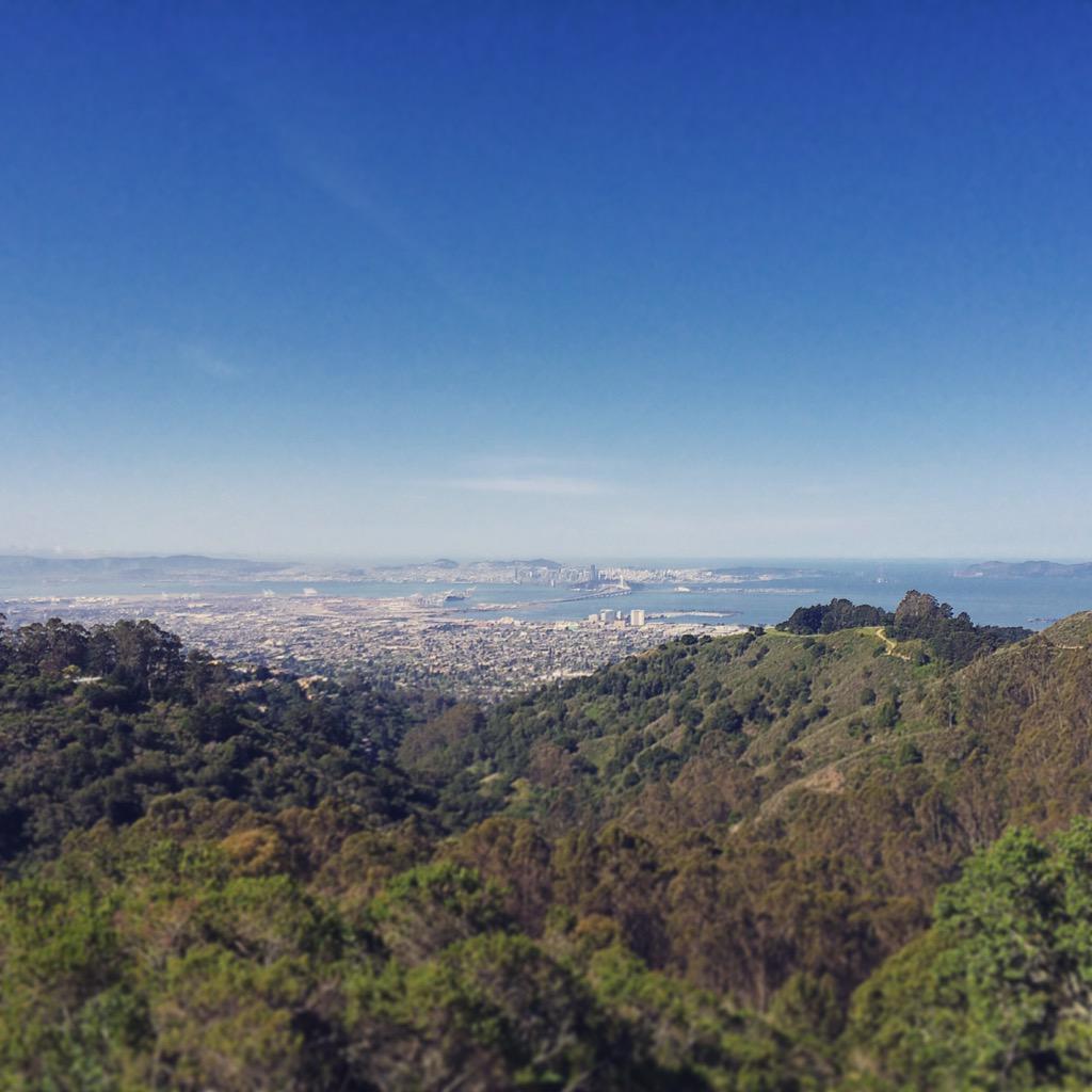 Ian Sharman tweet media