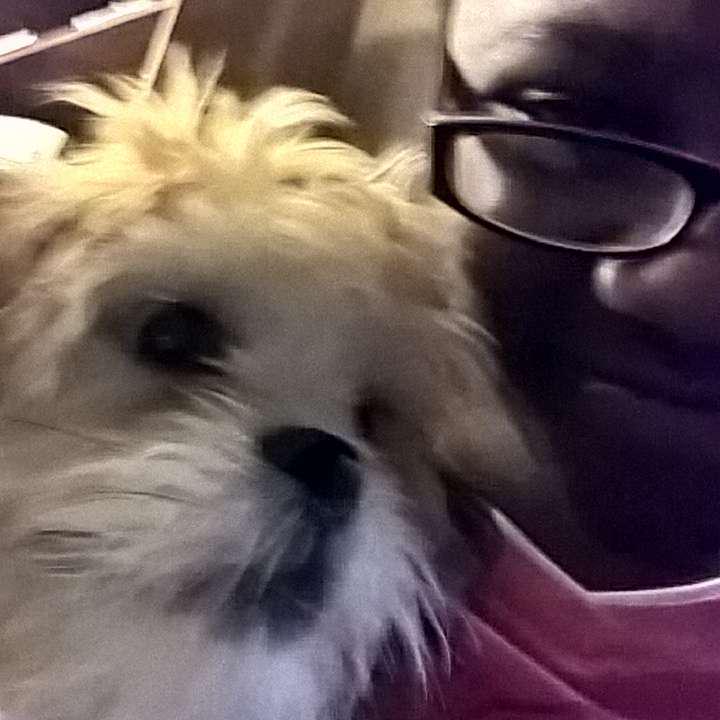 TeddyTheCutie's tweet photo. With my owner @bribeexx follow her http://t.co/Ca5hCeqqGL