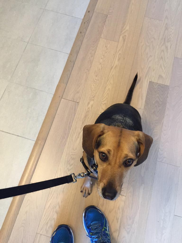 wall_here's tweet photo. Still have my running shoes on, so I guess it's #JoinaPace for a few extra miles with this dude http://t.co/IUZSdyttam
