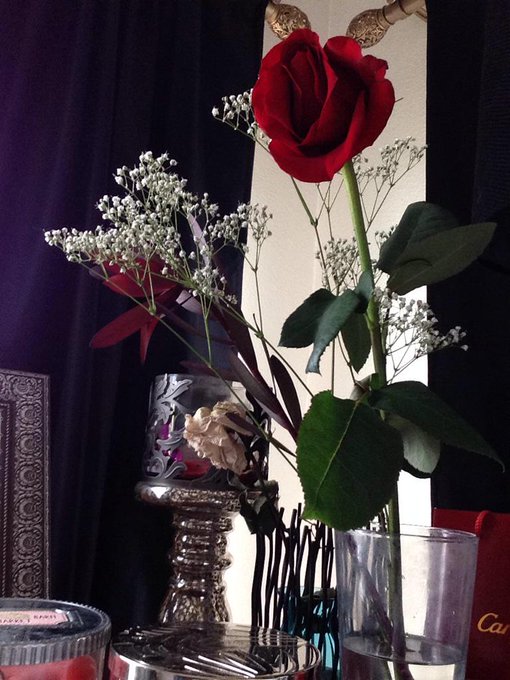 ❤️☺️ http://t.co/XvQYqBmtyJ<a href="/tag/todayskidswillneverknow"class="tags"><span>#todayskidswillneverknow</span></a>