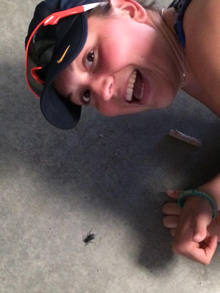 roduffy3's tweet photo. Some cool beetle we found at the boathouse this morning! @mckellar_rowan http://t.co/g3KAD14zME