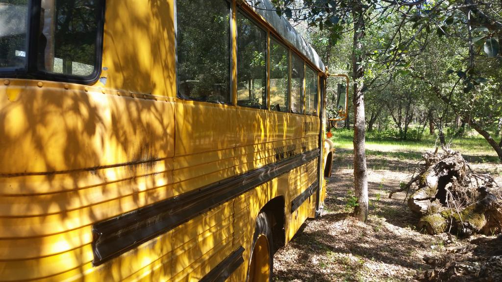 longboardlifer's tweet image. Side view of my #bushouse. It has been sitting there for 8 years. #tinyhouse
