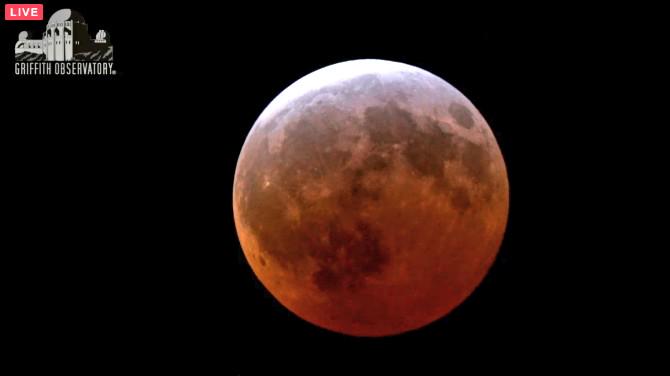 Did you photograph last night's total lunar eclipse? Send your pics in #Today9  <a href="/TheTodayShow/">The Today Show</a> #BloodMoon