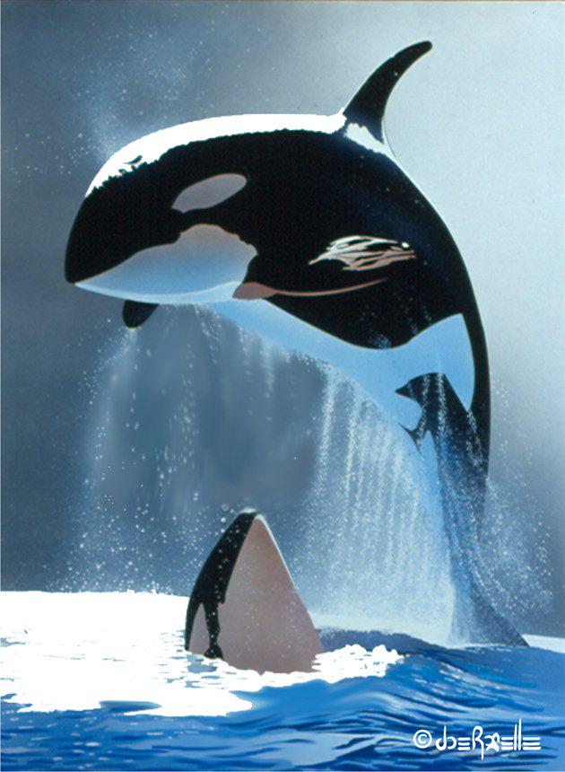oceanshaman's tweet photo. Start w/ #elephants & #orcas. Assume you're in the presence of ones who deliver #CosmicMessages. #PathwaysToAllOthers http://t.co/CxHCF1pphl