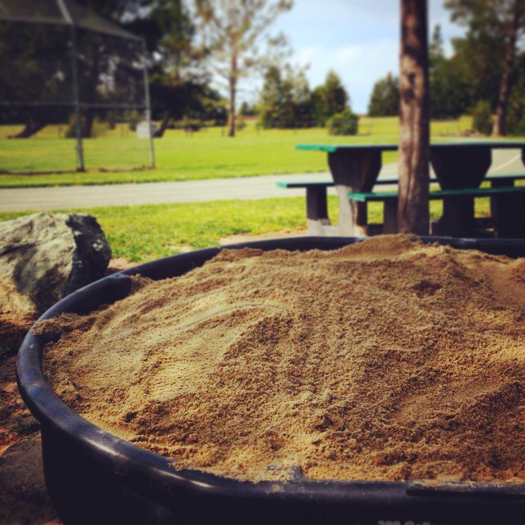 WendyFunk2's tweet photo. Just refilled the dinosaur garden with sand. Recess fun for #pennpanthers! #pennroom10 #petk12 http://t.co/dunbG31bPI