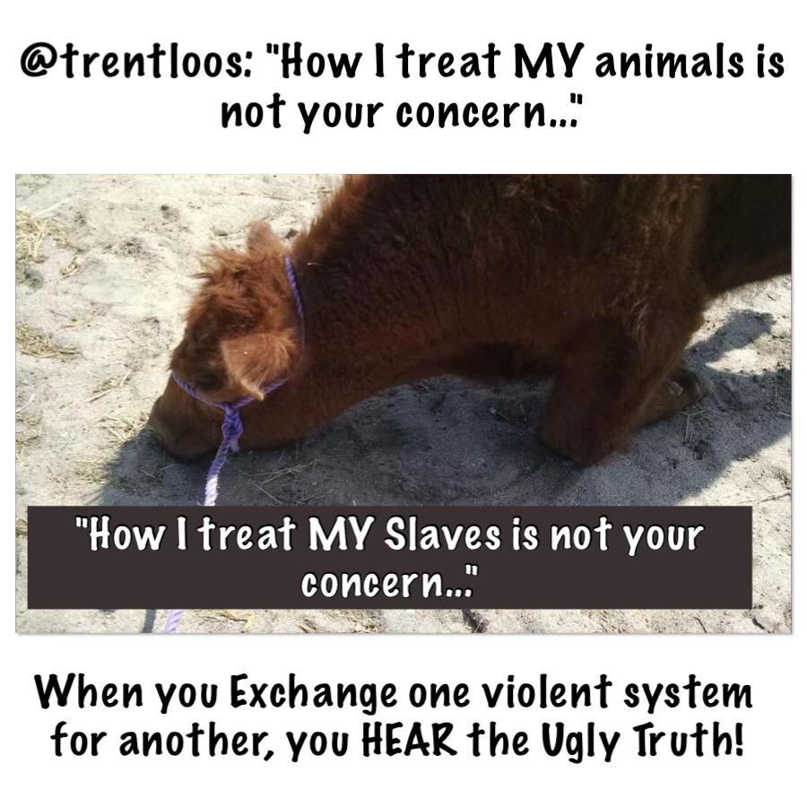 PurpleistheWord's tweet photo. @trentloos http://t.co/fpHLWxjMGP @FarmVoice365 @nonporkperry #farm365 #lovefarming #veganreligion #foodchat #dairy http://t.co/JVLC9m8Bkg