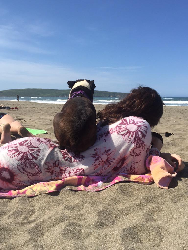 onekidneysydney's tweet image. My day at the beach featuring my sidekick Chloe ..now off to work at five .. #imabed? #beach #dillionsbeach