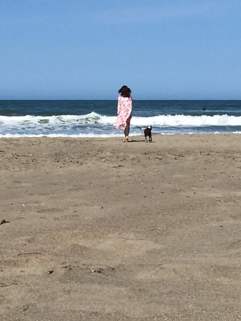 onekidneysydney's tweet image. My day at the beach featuring my sidekick Chloe ..now off to work at five .. #imabed? #beach #dillionsbeach