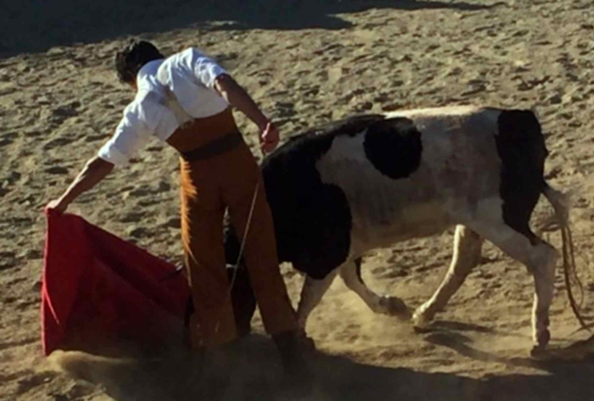 MuroMaite's tweet photo. Importante tentadero hoy en @victorinotoros . Muchas gracias por el trato recibido http://t.co/uOcNZXF0qi