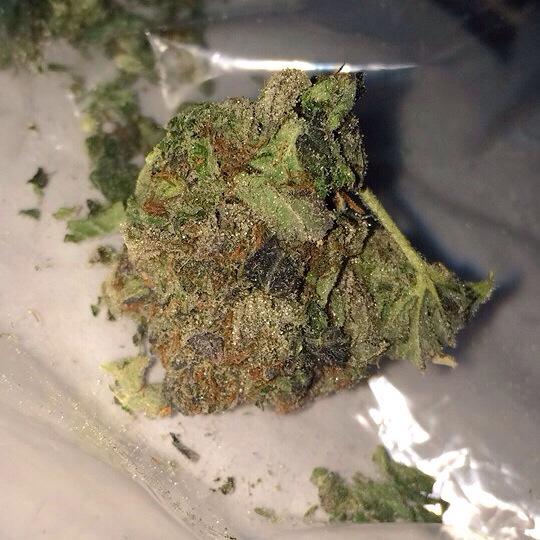 DailyWeedLife tweet picture