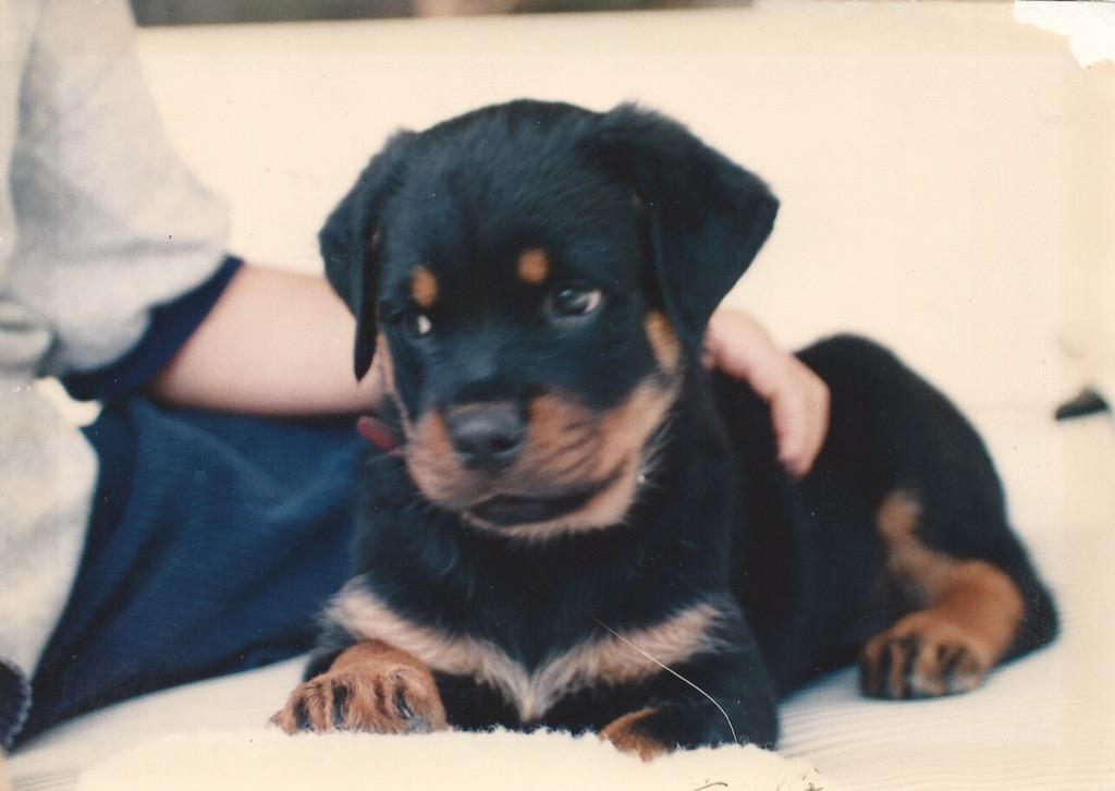 CaneBrown's tweet photo. My cousin Tyson when he was a baby. http://t.co/FTJEWaK5bq