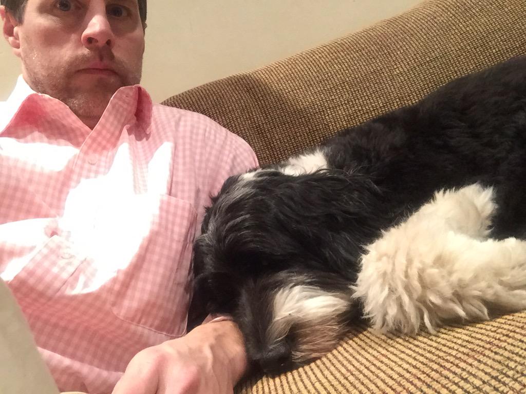 Belles_Rosen's tweet photo. Bubbe we had a great Passover. 
I especially appreciate my Seder naps on your couch. #sleepypuppy #portuguesewaterdog http://t.co/TRxVlrOT4z