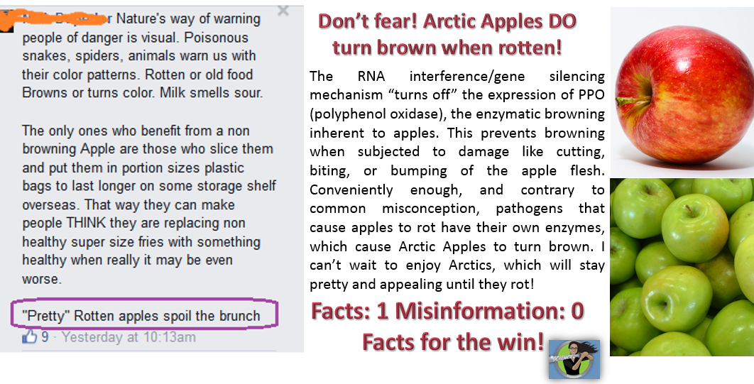 Eingebetteter Bild-Link