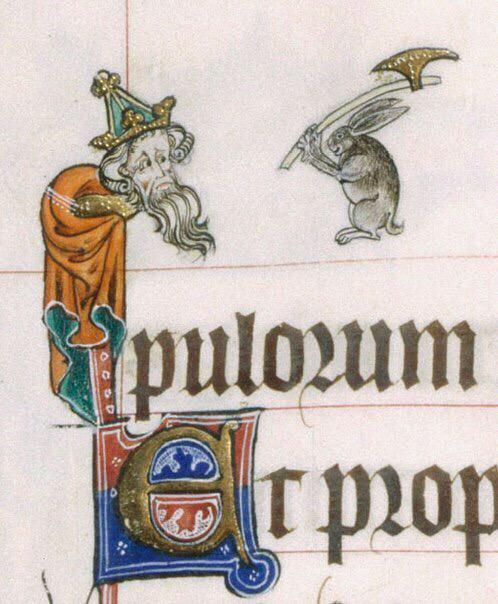 Sarah Chavez tweet media